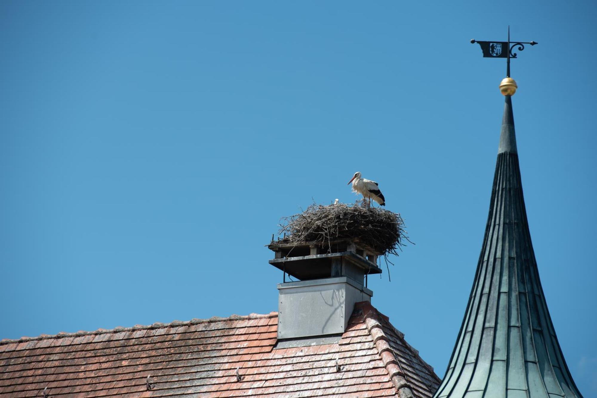 Boutique - Hotel Zum Schloss Amtzell Kültér fotó